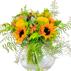 The first impression of this dazzling bouquet is one of Cranham's open fields on a sunlit morning-alive, brilliant, and brimming with the energy of blooming sunflowers and delicate garden roses. Radiant sunflowers capture the essence of high summer, their petals brightening the display with hues as rich as Cranham's golden afternoons. Carefully placed among them, buttery yellow roses showcase tight spirals of petals-a mark of expert local floral design. Clusters of red Hypericum berries nestle throughout, their cherry red tones adding a joyful spark and visual depth. The arrangement is softened by trails of feathery ferns and airy greenery, reminiscent of strolls along St. Mary's Lane, where nature spills over hedgerows. Solidago filler dotted with tiny yellow blooms weaves in pockets of brightness and texture, while hints of eucalyptus and slender spikes peek through, their leaf shapes and fragrances enhancing the rustic feel. Every stem is showcased in a clear, rounded glass vase, the natural silhouettes magnified by shimmering water-a celebration of freshness and authenticity from the heart of Cranham. This bouquet's uplifting scent, tactile contrasts, and sun-filled palette make it a cherished choice for heartfelt occasions, radiating local warmth and celebration.