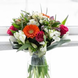 This cheerful bouquet reflects the artistry and vibrant community spirit of Cranham, artfully pairing structure with a kaleidoscope of natural hues. The gentle tones of creamy peach and beige gerbera daisies spread outward in a soft, welcoming halo, framing the bouquet with a sense of calm optimism. In striking contrast, bold orange gerberas at the centre radiate festive energy, reminiscent of the lively atmosphere found at Cranham Village Hall gatherings. Rich magenta roses, each tightly wound and bursting with colour, lend a luxurious undertone and emotional depth, while airy white alstroemeria and petite filler blossoms add a garden-fresh lightness. The base is surrounded by smooth, paddle-shaped aspidistra leaves, carefully wrapped to provide sturdy structure and a verdant accent-much like the borders of local parks. Punctuated by smaller, pointed leaves and feathery green sprigs, the bouquet feels abundant yet curated, fresh from the hands of skilled Cranham florists. The transparent glass vase allows you to glimpse the intertwining stems, furthering the feeling of natural beauty. Bask in its gentle fragrance-soft rose, a suggestion of lily, and hints of fresh-cut greens-while the soft, sunlit backdrop keeps every detail aglow. Ideal for celebrations, new beginnings, or everyday kindness, this arrangement brings a touch of Cranham's charm into any space.
